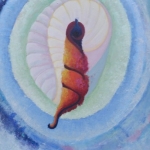 uit je schelp kruipen