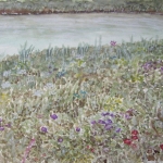 Nature's Colors (Amsterdam)