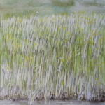 Nature always wears the colors of the spirit (Amsterdam)