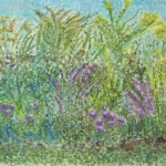 Flowers Feed The Soul