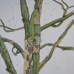 In loving memory of our dead tree