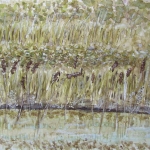 Hug The Shore (Amsterdam)