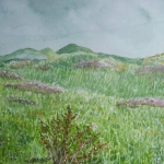 The goal of life is living in agreement with nature (Texel)