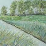 There Is No Life Without Water (Amsterdam)