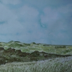 Texel Dunes