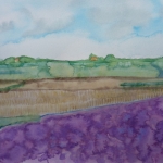 Any landscape is a condition of the spirit (Texel)