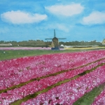 Noord Hollands Landschap