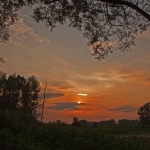 Millingerwaard 2011 - 2