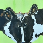 Koeien Knuffel