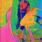 Variatie op een thema (1)