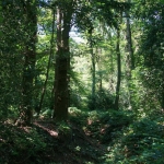 1000 tinten groen (3)