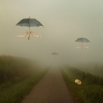 flying memories