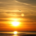 Noordwijk aan zee