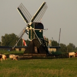 windmolen
