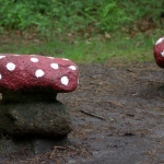 paddenstoelen