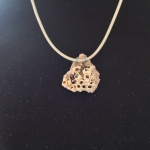 Duiker op de klippen