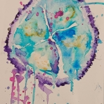 2023-11.4 jellyfish 2