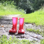 Landschappen