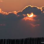 Landschappen