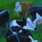 Groep koeien