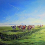 koeien op een zomerse dag