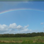 Regenboog