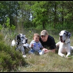 Met honden