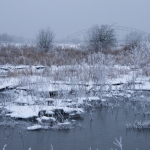 winterlandschap