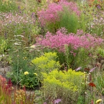 Floriade