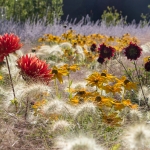 Floriade