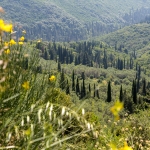 Pandokrator gebergte