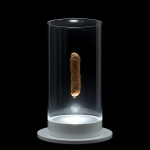 The Transparency of the Self (concept)