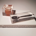 The Anatomy of Absent Causes