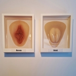 The politics of the flesh