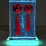 Equity is not equality