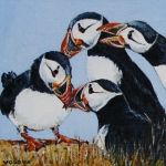 atlant. puffins 4