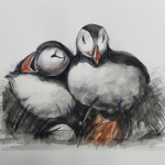 puffins 2