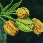  yellow tulips