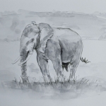 elephant 2