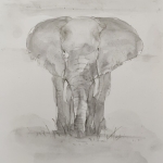 elephant 3