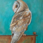 owl