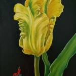 tulp Goldrace