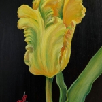 tulp Goldrace