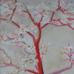 perenboom in bloei