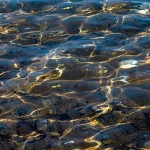 Zon op water