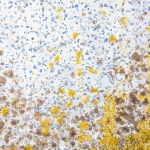 abstract beton 