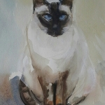 Siamese kat, Cloë,aquarel,