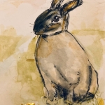 Rabbit