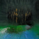 Sunflowers-Winter scene-Landscape #38