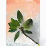 Transparent plastic #4